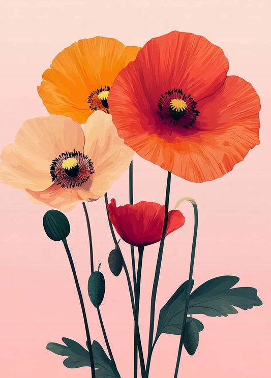 Coquelicots Colorés