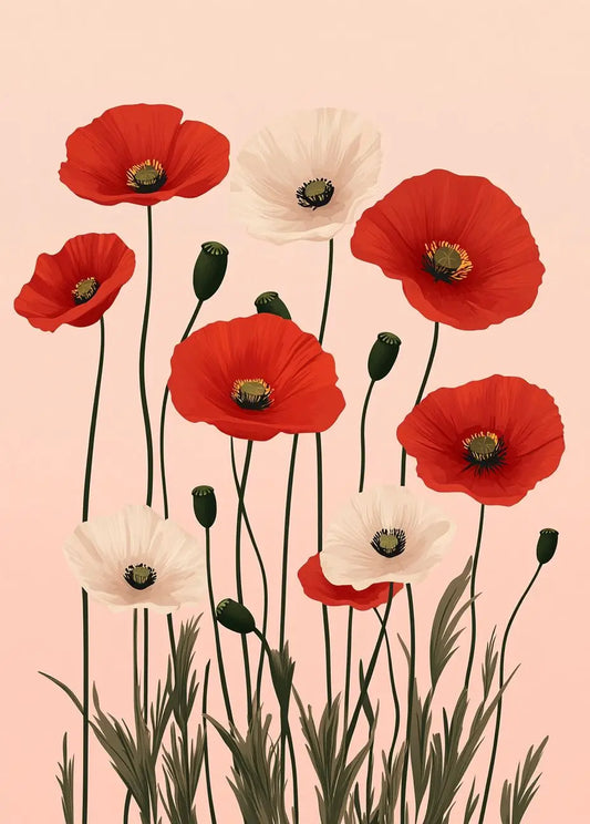 Coquelicots Rouges et Blancs