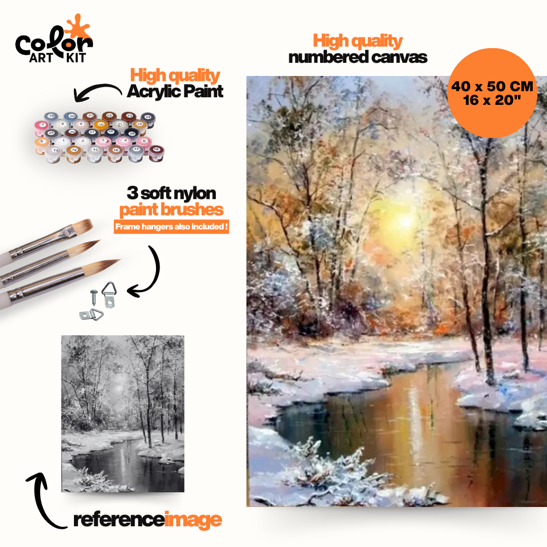 Rivière Ensoleillée en Hiver